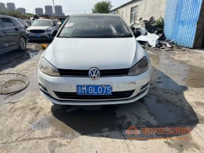 17年大众高尔夫中型车