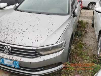 17年大众迈腾中型车