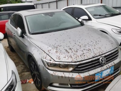 17年大众迈腾中型车