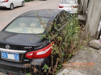 18年日产天籁中型车