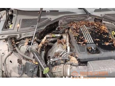 21年凯迪拉克凯迪拉克CT6中型车