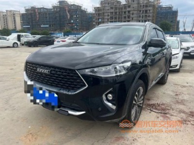 19年哈弗哈弗F7SUV