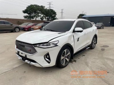 21年哈弗哈弗F7xSUV