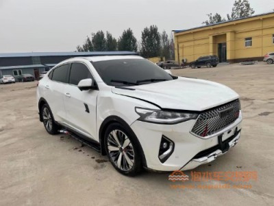 21年哈弗哈弗F7xSUV