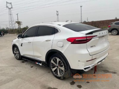 21年哈弗哈弗F7xSUV