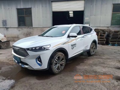 20年哈弗哈弗F7SUV