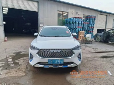 20年哈弗哈弗F7SUV