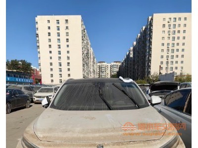 23年启辰大VSUV