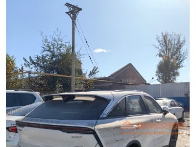 23年启辰大VSUV
