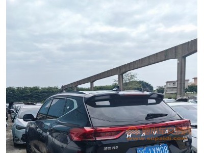 23年哈弗哈弗H6SUV