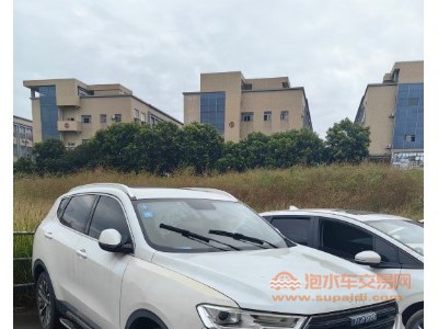 18年哈弗哈弗H6SUV