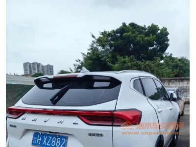22年哈弗哈弗H6SUV