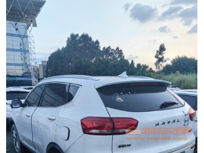 19年哈弗哈弗H6SUV