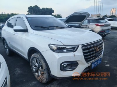 19年哈弗哈弗H6SUV