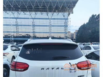 19年哈弗哈弗H6SUV