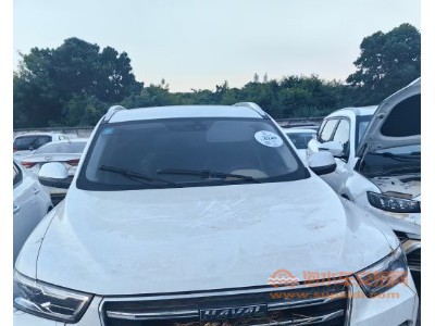 19年哈弗哈弗H6SUV