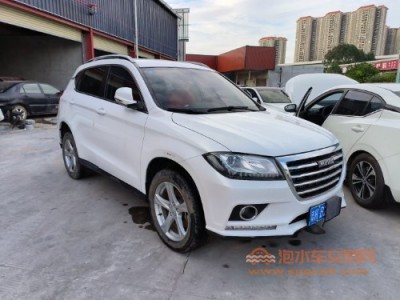 20年哈弗哈弗H2SUV