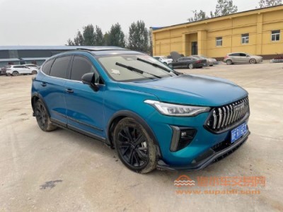 21年哈弗哈弗赤兔SUV