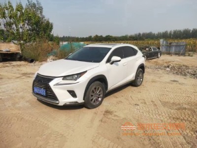 20年雷克萨斯雷克萨斯NXSUV