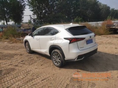 20年雷克萨斯雷克萨斯NXSUV
