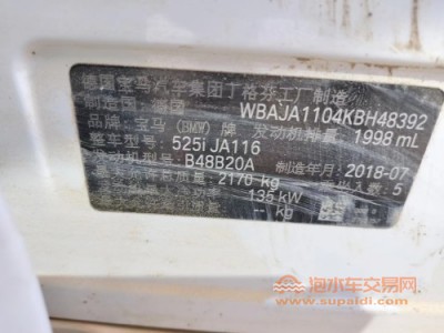 19年宝马宝马5系(进口)中型车