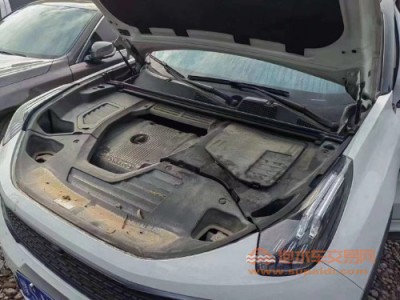 19年领克领克01中型车