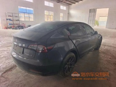 21年特斯拉MODEL 3中型车