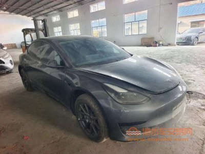 21年特斯拉MODEL 3中型车