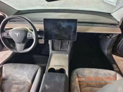 21年特斯拉MODEL 3中型车