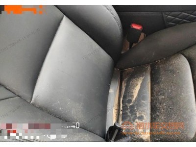 22年特斯拉MODEL 3中型车