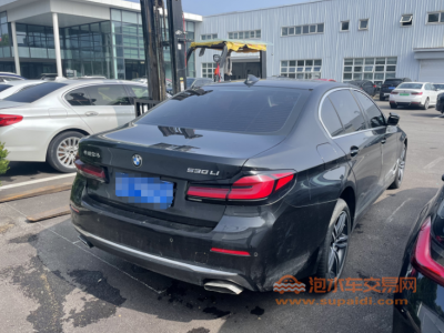 21年宝马宝马5系中型车