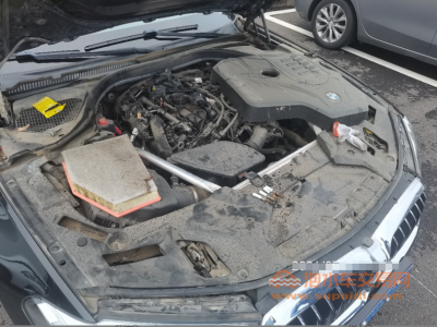 21年宝马宝马5系中型车