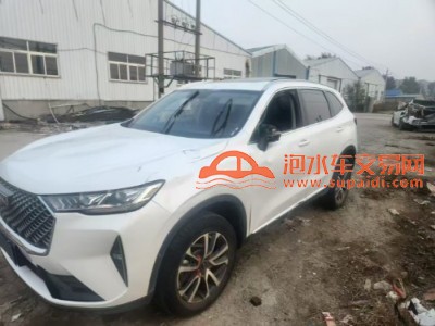 22年长城哈弗H6SUV