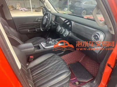 22年长城坦克300SUV