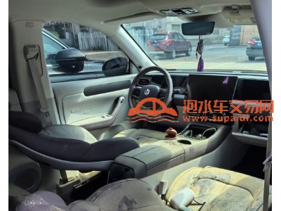 24年零跑汽车零跑C11中型车