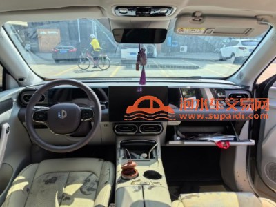 24年零跑汽车零跑C11中型车