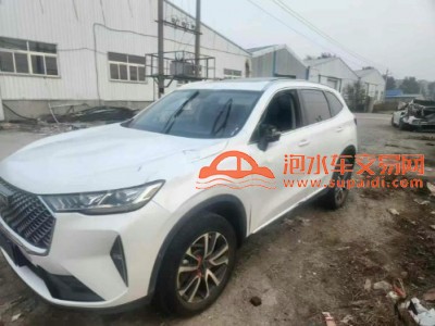 22年长城哈弗H6SUV