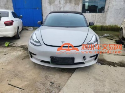 20年特斯拉MODEL 3中型车