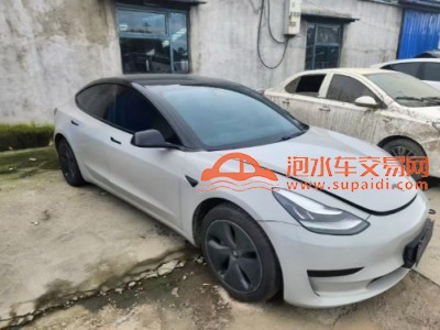 20年特斯拉MODEL 3中型车