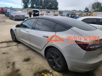 20年特斯拉MODEL 3中型车