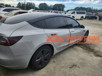20年特斯拉MODEL 3中型车