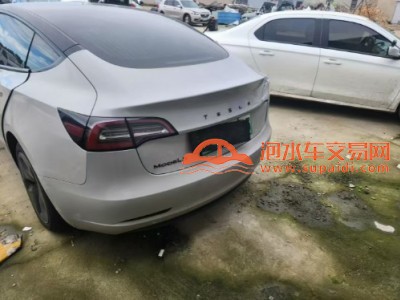 20年特斯拉MODEL 3中型车