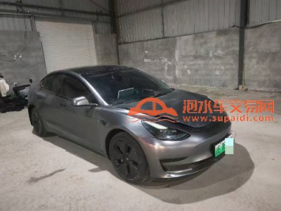 21年特斯拉MODEL 3中型车