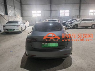 21年特斯拉MODEL 3中型车