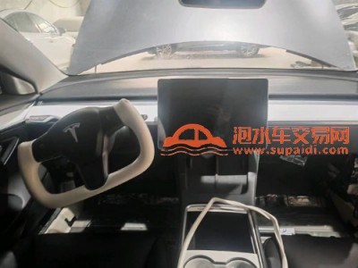 21年特斯拉MODEL 3中型车