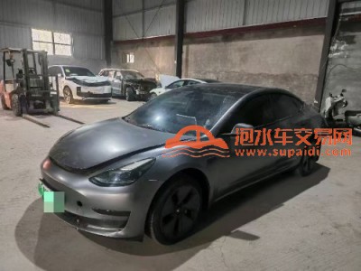 21年特斯拉MODEL 3中型车