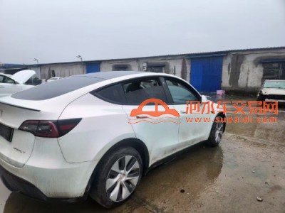 22年特斯拉MODEL Y中型车