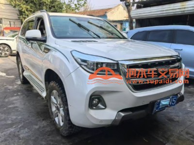 20年哈弗哈弗H9SUV