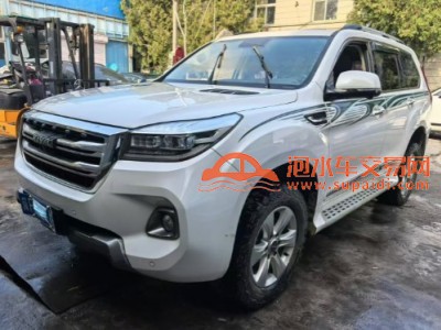 20年哈弗哈弗H9SUV