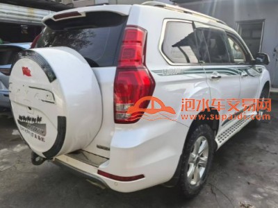 20年哈弗哈弗H9SUV